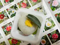 城南宮の写真・動画_image_494645