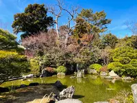 城南宮の写真・動画_image_494646