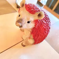Cafe Igel/あかいはりねずみの写真・動画_image_494790