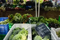 Marrickville Organic Food Marketの写真・動画_image_495098