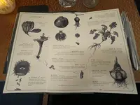 Restaurant FORESTの写真・動画_image_495275