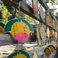 伊弉諾神宮の写真・動画_image_495298
