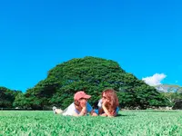 モアナルア・ガーデンズの写真・動画_image_495340