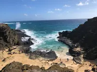 ハロナ・ビーチ・コーブの写真・動画_image_495345