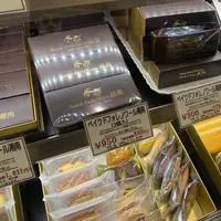 湘南クリエイティブ・ガトー 葦の写真・動画_image_495399