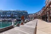ドーズ・ポイントの写真・動画_image_495831