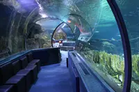 Under Water World（アンダーウォーターワールド）の写真・動画_image_496055