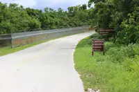 Ritidian Point（リティディアン岬）の写真・動画_image_496074