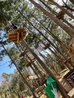 フォレストアドベンチャー・箱根の写真・動画_image_496154