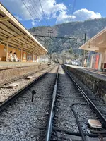 箱根登山鉄道沿線の写真・動画_image_496157