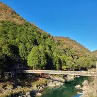 嵯峨野トロッコ列車の写真・動画_image_496170
