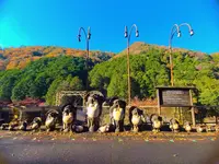 嵯峨野トロッコ列車の写真・動画_image_496172