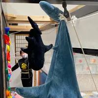 忍者の里 暁月 有明ガーデン店の写真・動画_image_496237