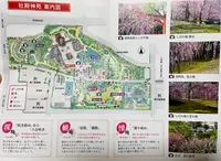 城南宮の写真・動画_image_497044
