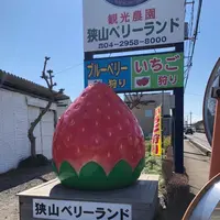 狭山ベリーランドの写真・動画_image_497231