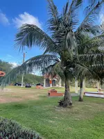 Inarajan Natural Pool（イナラハン天然プール）の写真・動画_image_497500