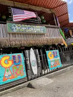 グリーン リザードの写真・動画_image_497556