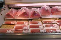 泊いゆまちの写真・動画_image_498269