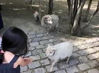 アクリマタシオン庭園の写真・動画_image_498879