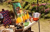 奥殿陣屋の写真・動画_image_498985