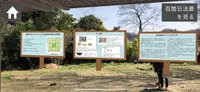 北条義時法華堂跡の写真・動画_image_499153