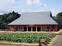 農家レストラン陽・燦燦の写真・動画_image_499253