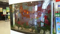 奈良金魚ミュージアムの写真・動画_image_499852