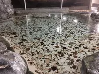 湖静荘の写真・動画_image_500132