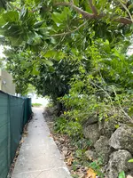 Tumon beach（タモン・ビーチ）の写真・動画_image_500230