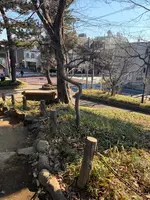 世田谷城址公園の写真・動画_image_500631