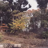 世田谷城址公園の写真・動画_image_500632