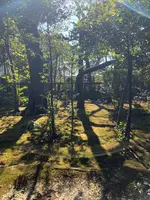 松陰神社の写真・動画_image_500636
