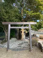 麻吉旅館の写真・動画_image_500646