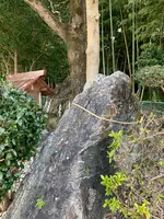 麻吉旅館の写真・動画_image_500650