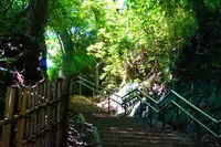 深大寺の写真・動画_image_500679