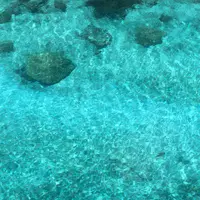 エメラルドバレーの写真・動画_image_500828