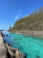 エメラルドバレーの写真・動画_image_500829