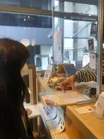 SOL'S COFFEEの写真・動画_image_500864