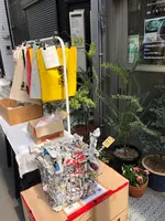 doremifaの写真・動画_image_500877