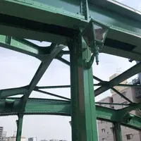 柳橋の写真・動画_image_500882