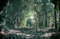 笠山の写真・動画_image_500902