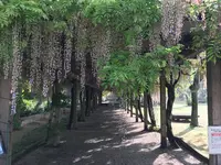 しまなみの駅　御島の写真・動画_image_500951