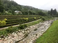 道の駅 上矢作 ラ・フォーレ福寿の里の写真・動画_image_500975