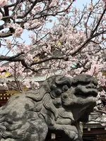 湯島天満宮（湯島天神）の写真・動画_image_501040