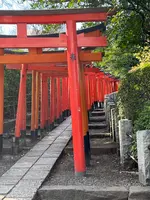 根津神社の写真・動画_image_501046