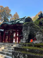 箱根神社の写真・動画_image_501115