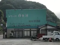 九頭竜湖の写真・動画_image_501418