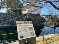 府内城址の写真・動画_image_501646