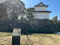府内城址の写真・動画_image_501648
