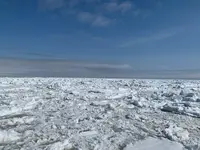 流氷観光砕氷船おーろらの写真・動画_image_502009